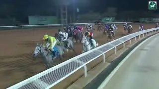 الشوط الحادي عشر للحفل 63 بموسم سباقات الرياض