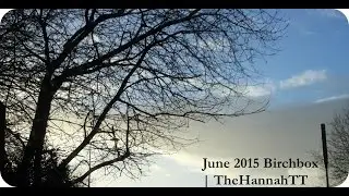 June 2015 Birchbox | TheHannahTT