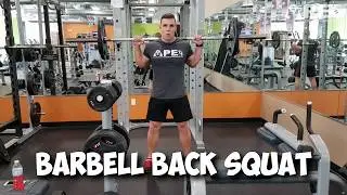 How To Barbell Back Squat - theAPEcoach - Tyler Johnston