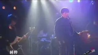 Cadmium Red. live PV