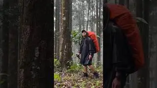 SUPER RAIN WITH THUNDERSTORM‼️ #shorts
