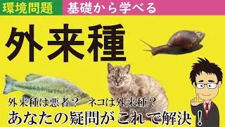 外来種とは何か？駆除すべき？人間は外来種？定義や問題点などをまとめた外来種基礎講座！