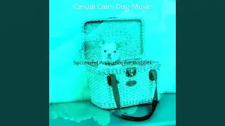Glorious Calming Dogs