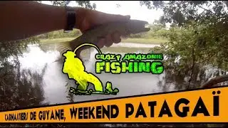 #8 Carnassiers de Guyane, weekend Pataga&iuml;