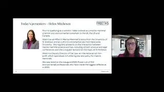 Overview of current and proposed steps for Marine Law