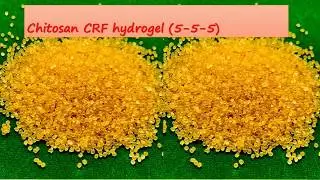 CRF biodegradable hydrogel