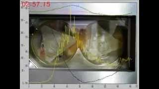MKE Torque rheometer test with RheoComp(R) batch internal mixer with glass viewfinder [Update 2015]