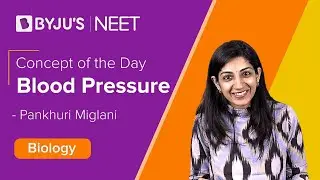 Blood Pressure: Body Fluids and Circulation Class 11 Biology Chapter 18 | NEET 2022 Biology Exam