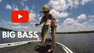 Fickle Summer Time Bass