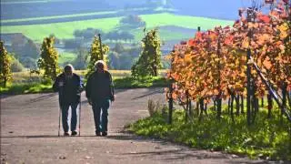 W&uuml;rttemb. Weinwanderweg: Zaberg&auml;u-Schleife Teil 5.2: von Bietigheim nach Beilstein
