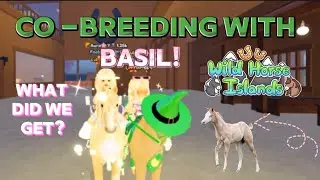 Co - Breeding with Basil 🌿! | What did we get ? | Wild Horse Islands