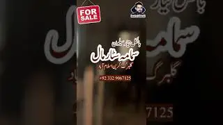 Ready Salon For Sale | Samma Mall Gulberg Green Islamabad