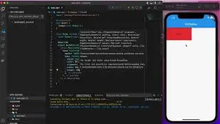 Container Widget in Flutter Using VS Code.