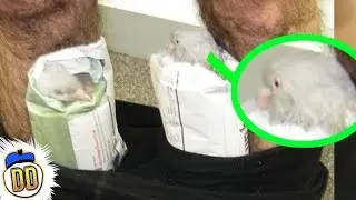 9 Craziest Things Ever Found by Airport Security