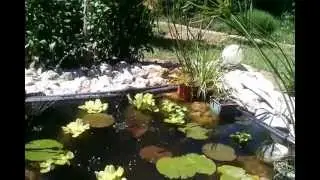 Linxor - Pompe à Eau Solaire - Pour Fontaine Bassin Jardin