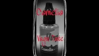 Virgin Taste e-liquid (caramel popcorn)