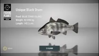 How to catch Unique Black Drum at Blue Crab Island