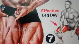Effective leg day 7 exercise in the gym for beginners