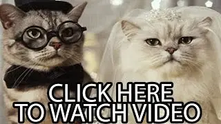 HotShots First Promo Video Showing Extras!