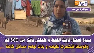 سيدة تعشق تربية القطط و كتعتني بأكثر من 600 قط و فلوسها كتخسرها عليهم و بنات ليهم مساكن خاصة