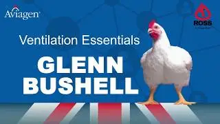 Ventilation principles to achieve optimum bird welfare