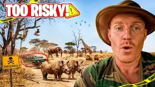 I Can't Believe We Caught This in Kruger | Big 5 Complete