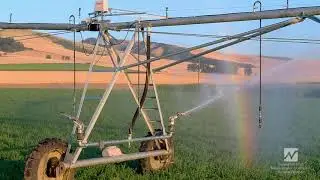Nelson Big Gun Sprinkler On A Mechanized Linear Irrigation System