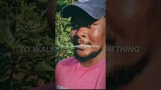 Иногда опазды на автобус 🫡