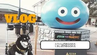 チャンネル名が変わりました/愛犬と楽しむアウトレットパーク/子猫を迎えて初めてのクリスマスパーティー【VLOG】