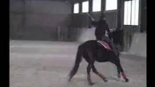Trickreiten