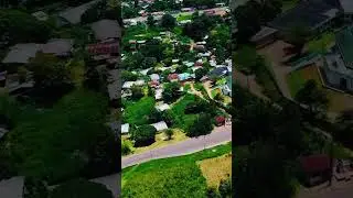 Green Heart of Central Africa 🌳🐘 || #equatorialguinea #gabon #congo