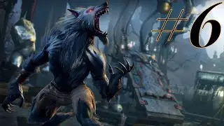 JACKAL plays Killer Instinct: Sabrewulf ranked 6