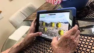 OptiMIND example 1