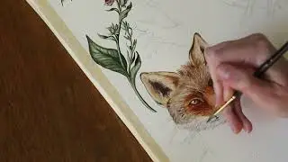 Painting a Fox | Cozy Watercolor Timelapse