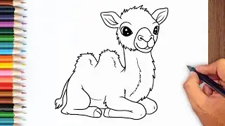 How to draw Baby Camel step by step - Cute Camel Drawing Ideas