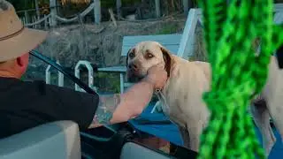 169 Bakers Road 15 second TV Advertisement Platypus Park 