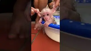 Bibi cute🥰🥰