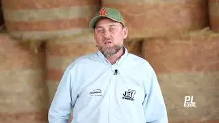 Feno Juliano Queiroz