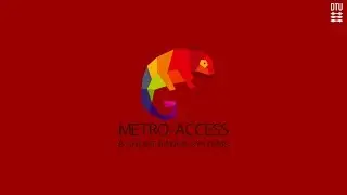 Metro-Access Team 2013