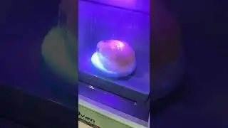 Why is this Microwave toy so good?!