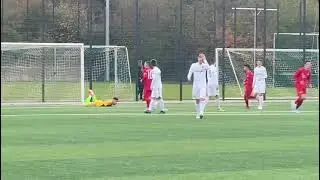 arijon ibrahimovic ibra.  2021