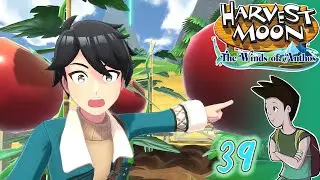 Harvest Moon: The Winds of Anthos #39 - ORTAGGI GIGANTI E IL TERZO EXPO! || Gameplay ITA