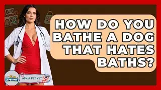 How Do You Bathe A Dog That Hates Baths? - Ask A Pet Vet