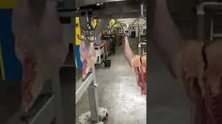 USE Poultry Tech Systemate/EMF cut-up line (fully recon)