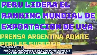 PERU LIDERA RANKING EXPORTACION de uva