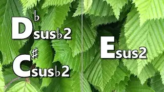 Dbsus b2 (C#sus b2) to Esus2 Backing Track