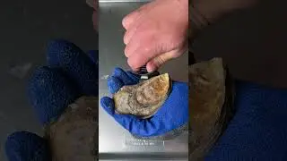 Устрицы на гриле с пикантным маслом