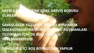 NEFİR