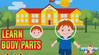 Learning Body Parts For Kids  -  Body Parts Song - Super Fun Baby