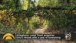 Allegheny Land Trust Acquires Girty's Woods After A Year Of Fundraising